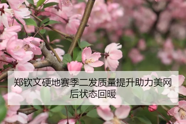 郑钦文硬地赛季二发质量提升助力美网后状态回暖